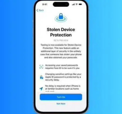 芮城苹果授权维修店分享被盗设备保护功能开启方法 