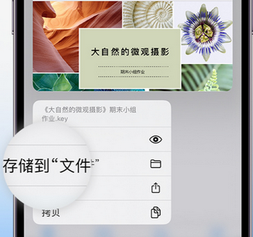 芮城apple维修中心分享iPhone文件应用中存储和找到下载文件