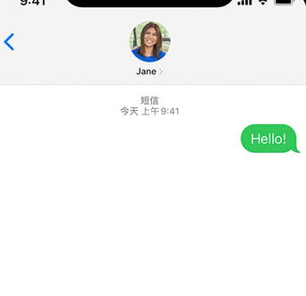 芮城apple维修iPhone上无法正常发送iMessage信息