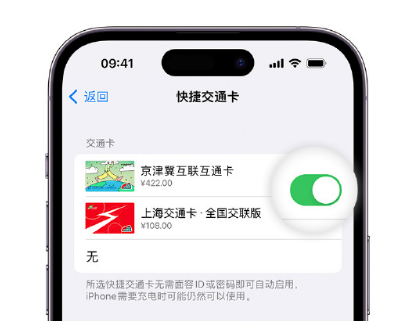 芮城apple维修点分享iPhone上更换Apple Pay快捷交通卡手绘卡面 