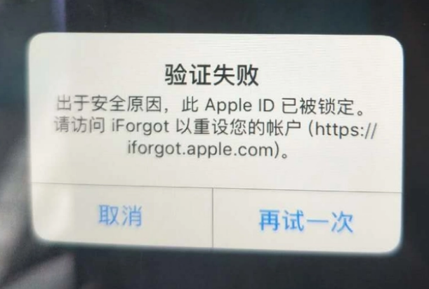 芮城iPhone维修分享iPhone上正常登录或使用AppleID怎么办 