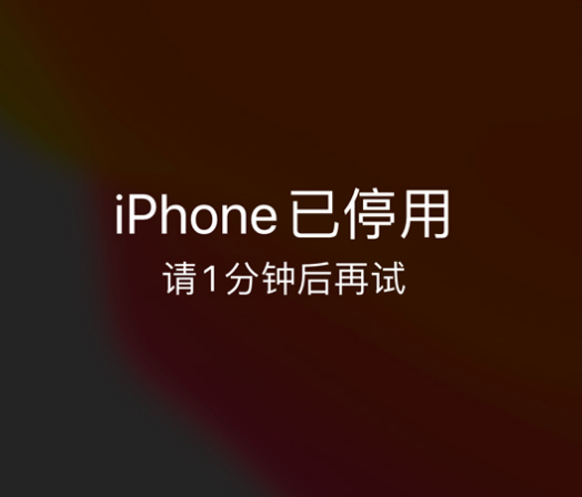 芮城苹果手机维修分享:iPhone 显示“不可用”或“已停用”怎么办？还能保留数据吗？ 