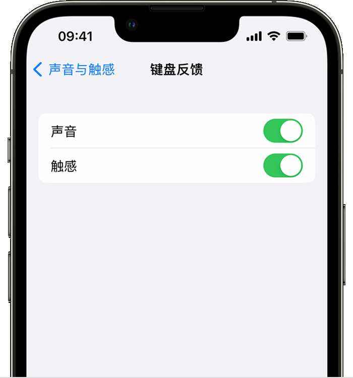 芮城苹果14维修店分享如何在 iPhone 14 机型中使用触感键盘 