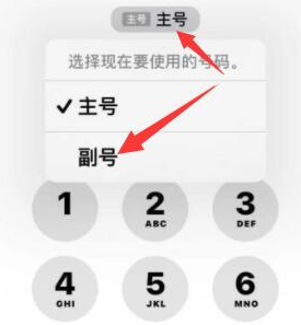 芮城苹果14维修店分享iPhone 14 Pro Max使用副卡打电话的方法 