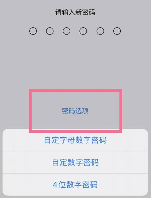 芮城苹果14维修分享iPhone 14plus设置密码的方法 