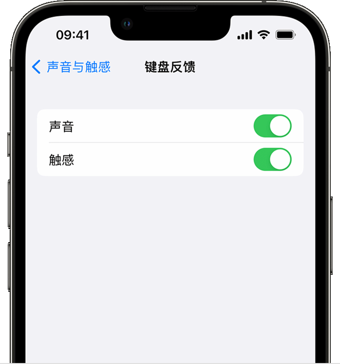 芮城苹果14维修分享iPhone 14 系列机型如何开启键盘声音或触感反馈 