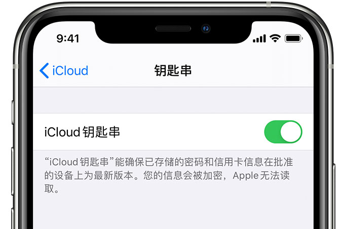 芮城苹果手机维修分享在 iPhone 上开启 iCloud 钥匙串之后会储存哪些信息 