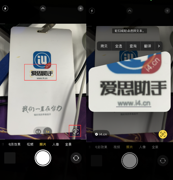 芮城苹果手机维修分享升级iOS 16后如何通过相机翻译文本 