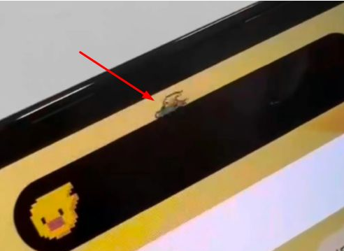 芮城苹果14维修分享iPhone 14 Pro Max灵动岛怎么养宠物 