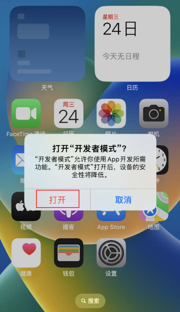 芮城苹果手机维修分享如何打开开发者模式 