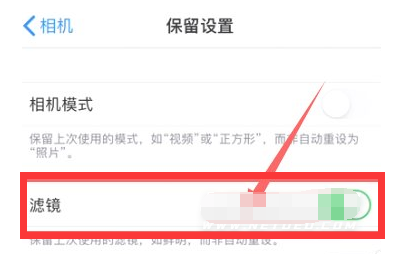 芮城苹果13维修分享iPhone13拍照有绿点是怎么回事 