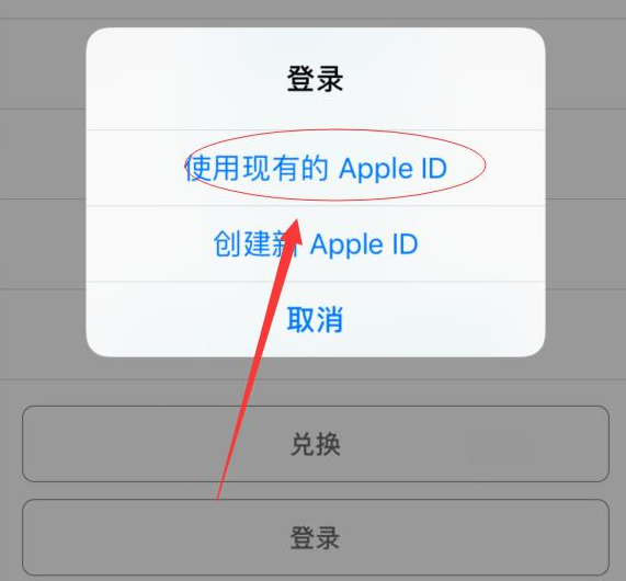 芮城苹果手机维修分享两台iPhone设备可以同时登录一个Apple ID吗 