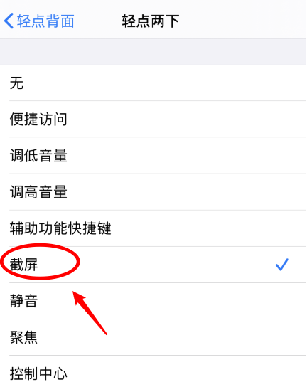 芮城苹果手机维修分享iPhone12如何启用双击截屏 