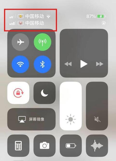 芮城苹果手机维修分享为 iPhone 12 双卡设置标签 