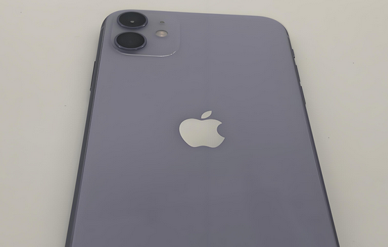 芮城苹果11系统维修分享iPhone11手机系统崩溃无法开机如何解决 